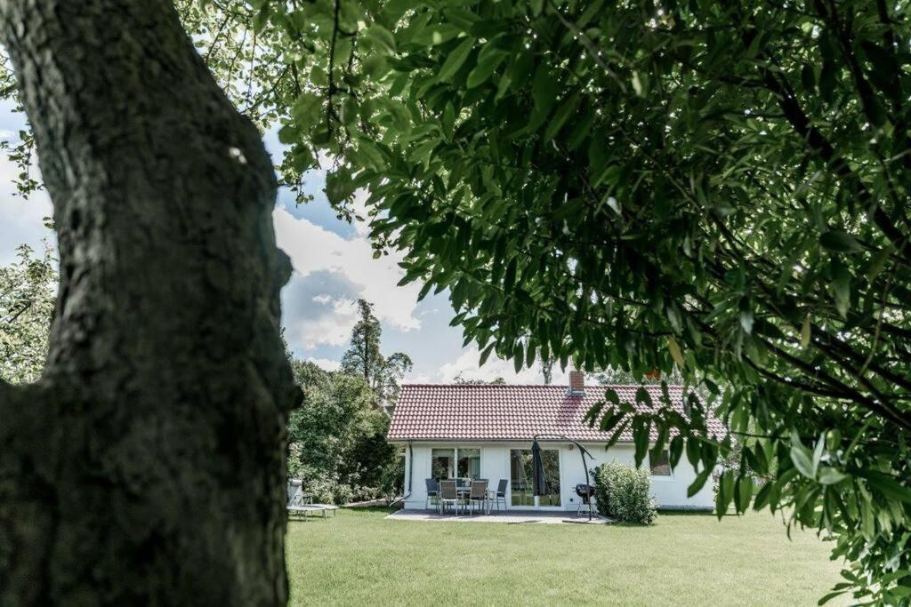 Hohwaii Cottage Hohwacht Exteriör bild